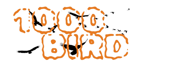 1000-BIRD